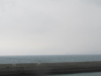 海 海