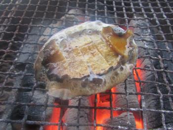 アワビ アワビ