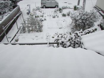 雪 雪