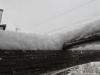 雪 雪