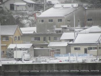雪 雪