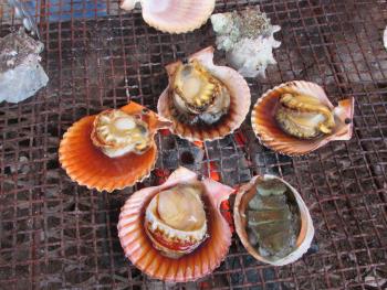 海鮮焼 海鮮焼
