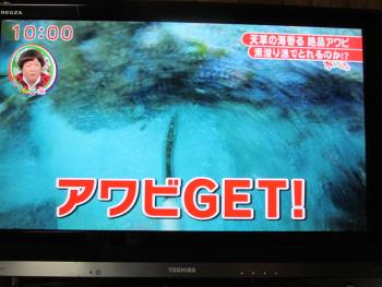 テレビ テレビ