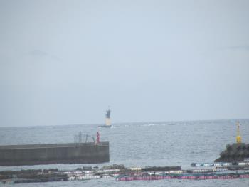 海 海