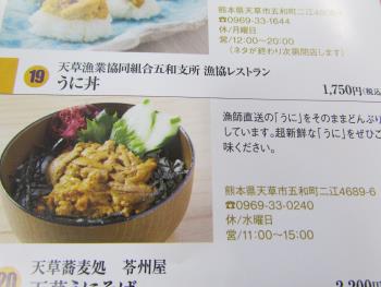 チラシ チラシ