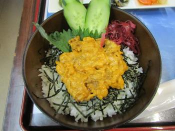 うに丼 うに丼