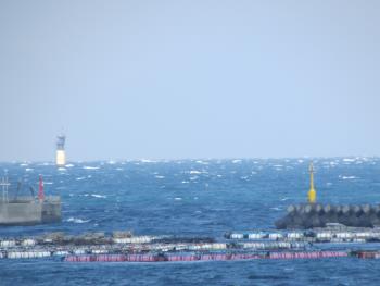 海 海
