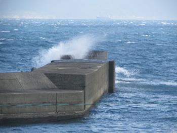 海 海