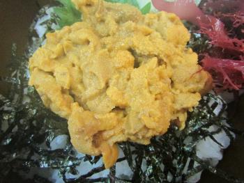 うに丼 うに丼