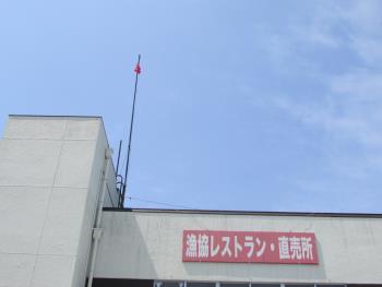 旗 旗