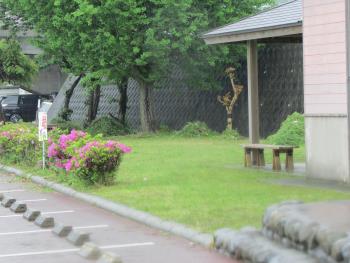 草はらい 草はらい