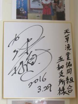 撮影 撮影