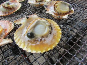 海鮮焼 海鮮焼