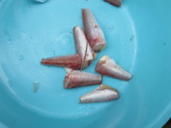 魚 魚