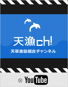 天草漁協組合チャンネル