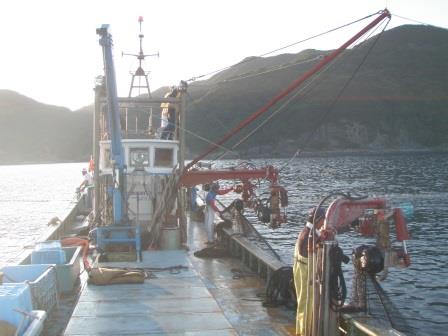 定置網漁8/8-4 定置網漁8/8-4