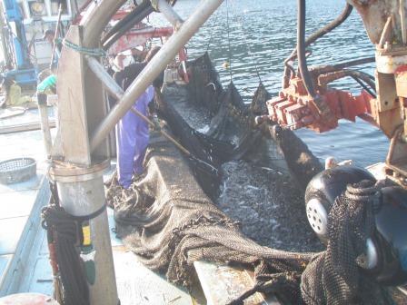 定置網漁8/8-7 定置網漁8/8-7