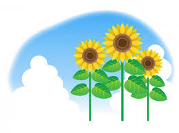 イラスト イラスト