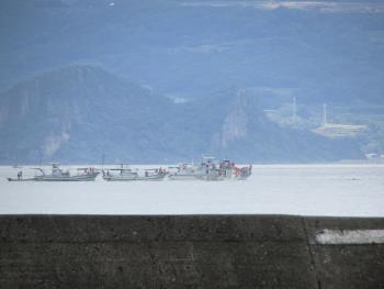 イルカウォッチング イルカウォッチング