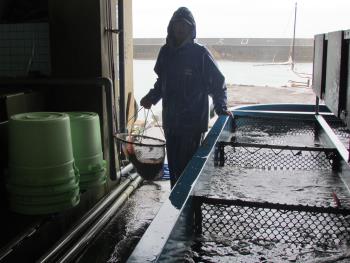 漁師さん 漁師さん