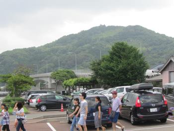 イルカウォッチング イルカウォッチング