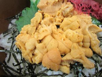 宝多うに丼 宝多うに丼