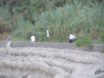 ウォーキング ウォーキング