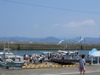 イルカウォッチング イルカウォッチング