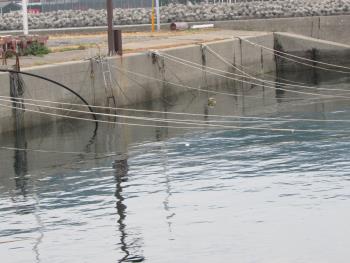 台風つなぎ 台風つなぎ