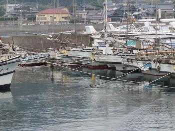台風つなぎ 台風つなぎ