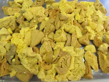 宝多うに 宝多うに