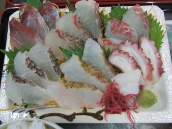 刺身定食 刺身定食