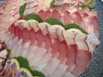 刺身食べ放題 刺身食べ放題