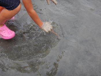 エビリンピック20 エビリンピック20