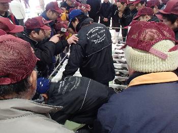 市場感謝祭 市場感謝祭