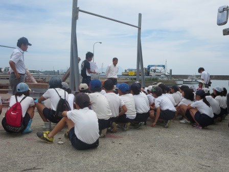 トラフグ放流について トラフグ放流について