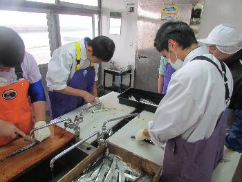 魚さばき 魚さばき