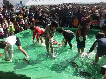 魚つかみ取り 魚つかみ取り