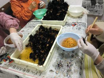 ウニ製造 ウニ製造