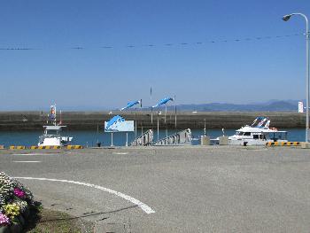 イルカウォッチング イルカウォッチング