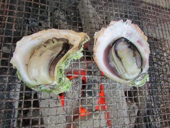 海鮮焼き 海鮮焼き