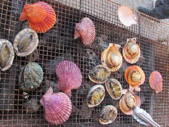 海鮮焼き 海鮮焼き