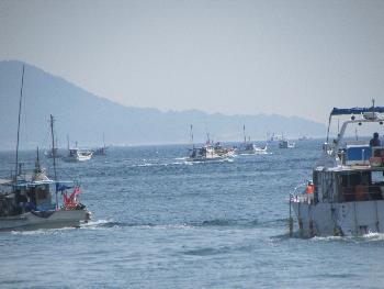 トサカとり トサカとり