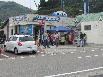 イルカウォッチング イルカウォッチング