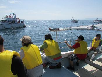 イルカウォッチング イルカウォッチング