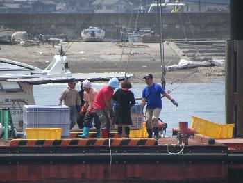 トサカかけ トサカかけ