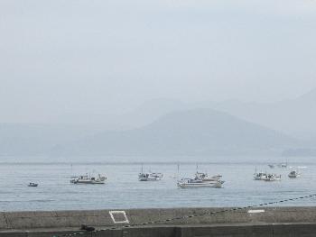 トサカ取り トサカ取り