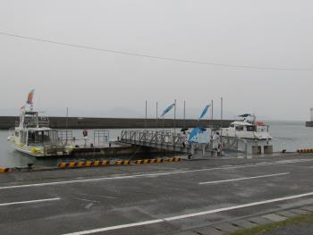 イルカウォッチング イルカウォッチング