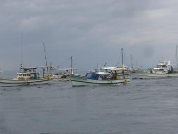 ウニ取り ウニ取り