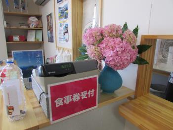 アジサイ アジサイ